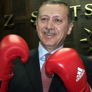 Erdogan&#39;s Hypothetical Approach toward Regional Events